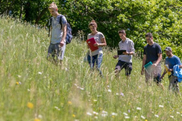 Die Landwirtschafts-Azubis bei der Begehung einer Bergwiese in Bollschweil-St. Ulrich

© Naturpark Südschwarzwald