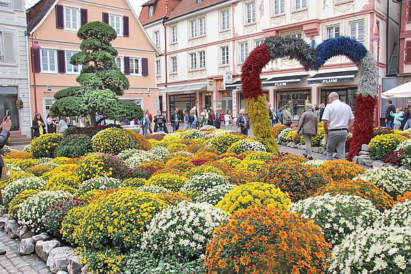 Chrysanthema in Lahr: Eröffnungswochenende 2023 mit verkaufsoffenem Sonntag

Bild: Reinhard Laniot / Internetzeitung REGIOTRENDS-Archivbild