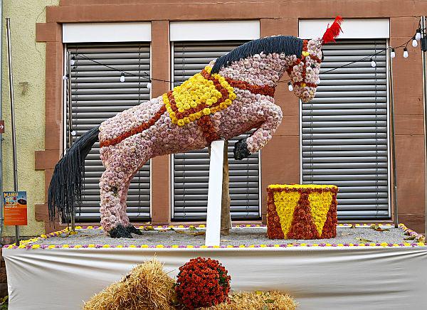 Blütenwagen für die Chrysanthema 2024 in Lahr gesucht.
Der Reitverein Lahr e.V. hat das Motto „Manege frei!” bei der Chrysanthema 2023 mit einem Zirkuspferd umgesetzt – der Blütenwagen wurde mit einem ersten Preis ausgezeichnet.

Foto: Stadt Lahr - Endrik Baublies