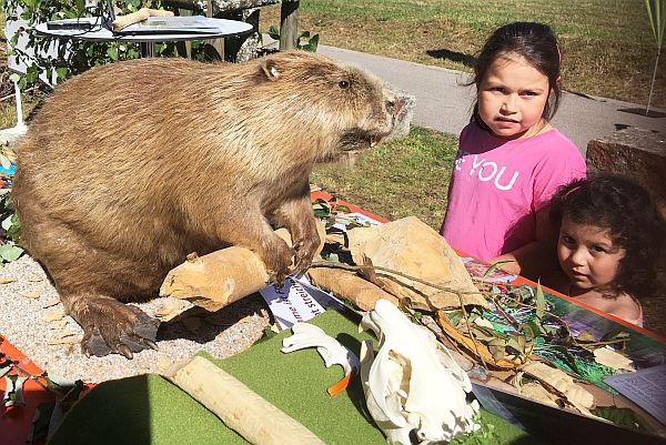 25 Jahre Naturparkmärkte - Veranstaltung rund ums Haus der Natur am Feldberg war gut besucht.

Foto: Karl-Friedrich Jundt-Schöttle