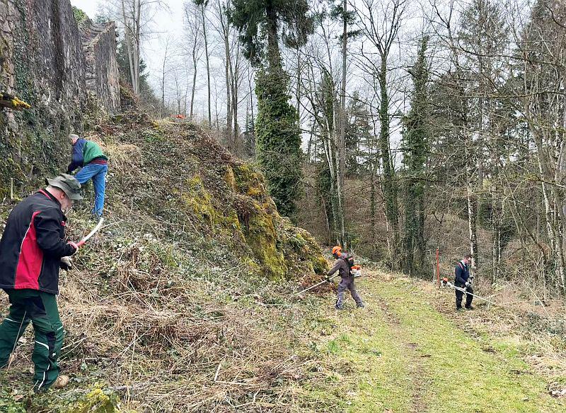 Burgputzete in Freiamt - 15 ehrenamtliche Helfer befreiten Burgruine Keppenbach vom Wildwuchs.

Foto: Kurhaus und Tourist-Information Freiamt