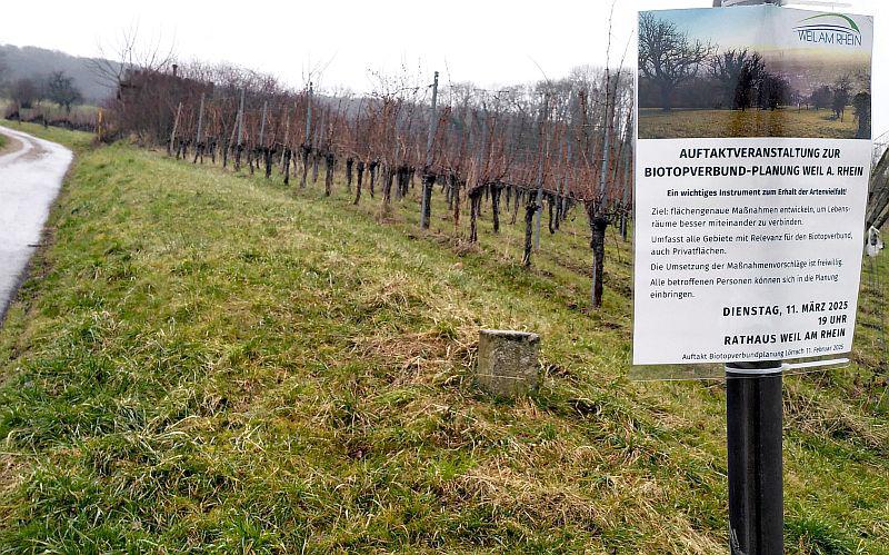 Biotopverbund-Planung Weil am Rhein: Auftaktveranstaltung am 11. März 2025 im Rathaus.
Auch Plakate rund um den „Tüllinger“ weisen auf die Auftaktveranstaltung der Biotopverbund-Planung am 11. März 2025 im Rathaus hin.

Foto: Stadtverwaltung Weil am Rhein - Fischer