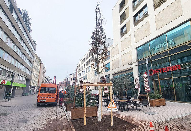 Erste Baumpflanzungen in der Palmstraße in Lörrach.

Foto: Stadt Lörrach - Monique Amend