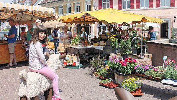 Wochenmarkt Ettenheim

Foto: Stadt Ettenheim 